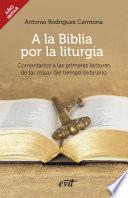 Libro A la Biblia por la liturgia