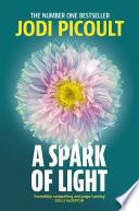 Libro A Spark of Light