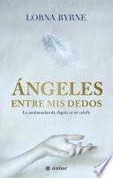 Libro Ángeles entre mis dedos
