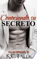 Libro Año del Billonario Vol. #1 : Conociendo su Secreto