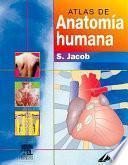 Libro Atlas de Anatomía Humana