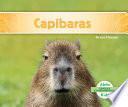 Libro Capibaras (Capybaras) (Spanish Version)