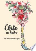 Libro Chile en haiku