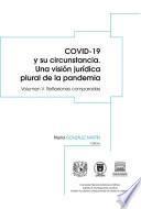 Libro COVID-19 y su circunstancia. Una visión jurídica plural de la pandemia. Vol. V. Reflexiones comparadas