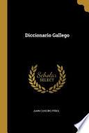 Libro Diccionario Gallego