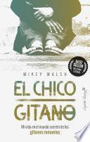 Libro El chico gitano