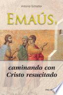 Libro Emaús, caminando con Cristo resucitado