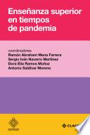 Libro Enseñanza superior en tiempos de pandemia