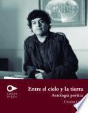 Libro Entre el cielo y la tierra
