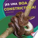 Libro ¡Es una boa constrictora! (It's a Boa Constrictor!)