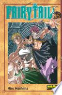 Libro Fairy Tail 15