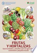 Libro Frutas y hortalizas