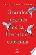 Libro Grandes páginas de la literatura española