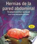 Libro Hernias de la pared abdominal