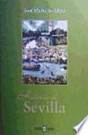 Libro Historia de Sevilla