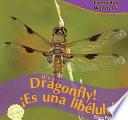 Libro Its a Dragonfly! / ¡Es una libélula!