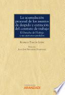 Libro La acumulación procesal de los asuntos de despido y extinción del contrato de trabajo