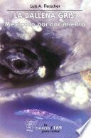 Libro La ballena gris