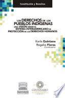 Libro Los derechos de los pueblos indígenas una visión desde el sistema interamericano de protección de los derechos humanos.