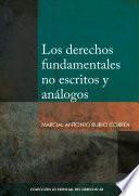 Libro Los derechos fundamentales no escritos y análogos