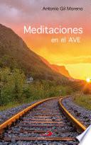 Libro Meditaciones en el AVE