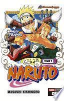 Libro Naruto