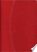 Libro NVI Ultrafina Dos Tonos Italia