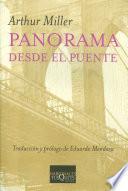 Libro Panorama desde el puente