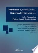 Libro Principios y justicia en el Derecho Internacional.Libro homenaje al Profesor Antonio Remiro Brotóns