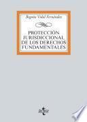 Libro Protección jurisdiccional de los Derechos Fundamentales