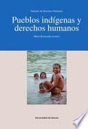 Libro Pueblos indígenas y derechos humanos