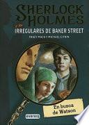 Libro Sherlock Holmes y los irregulares de Baker Street