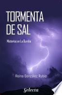 Libro Tormenta de sal (Trilogía Misterios en la Bureba 1)