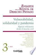 Libro Vulnerabilidad, solidaridad y pandemia. Algunas reflexiones desde el derecho civil